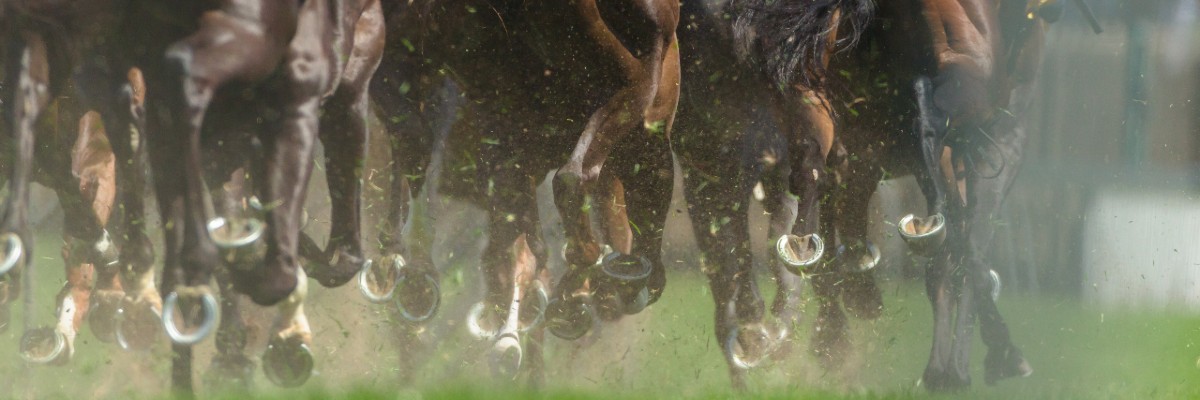 rally gallop cycle